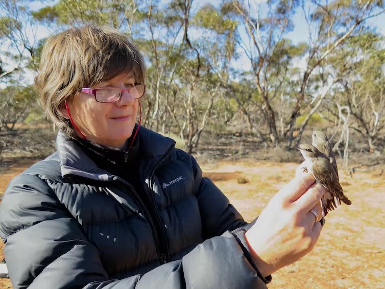A photo of a person with a bird in their hand.