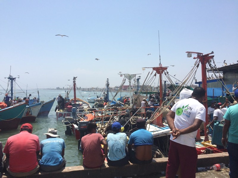 A group of men sit along a concrete ledge facing a port in Lima, Peru, where fishing boats are gathered.