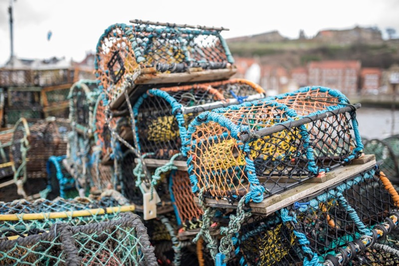 A pile of colourful crab and lobster traps.