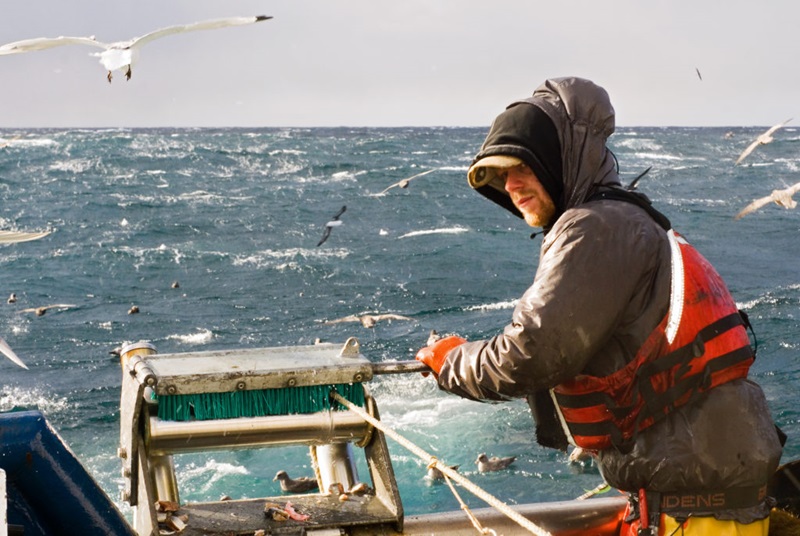 740,000km of fishing line and 14 billion hooks: we reveal just how much fishing  gear is lost at sea each year - CSIRO
