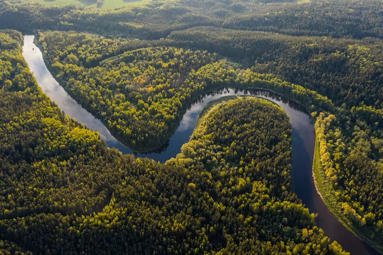 A winding river through a rainforest. Global carbon budget. 
