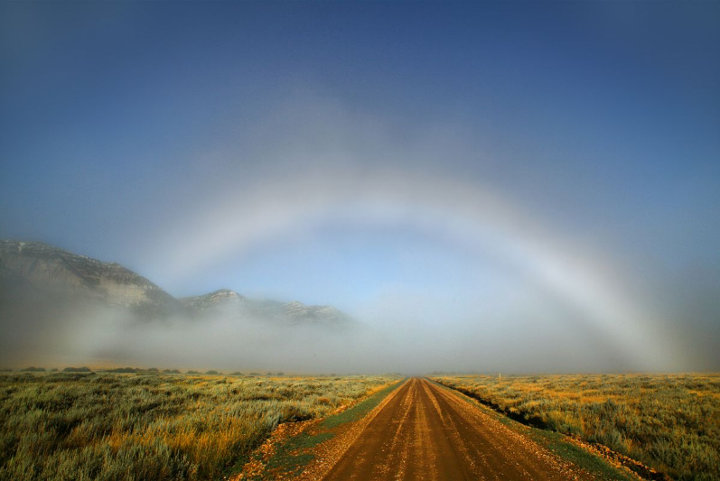 A fogbow 