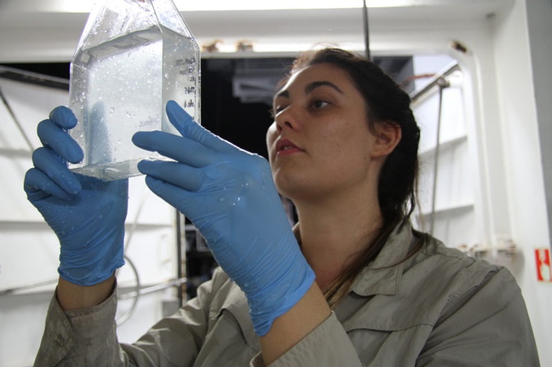 Woman looks into clear container. She is wearing blue gloves and is wearing a khaki coloured top. 