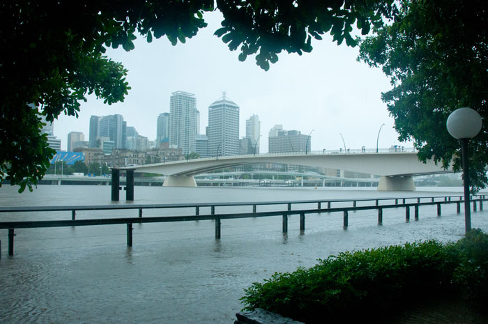 Cityscape through trees with bridges across a river and skyscrapers in the background. 