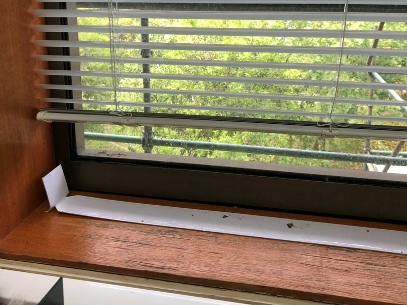 Strip of sticky trap lying along a window sill. 