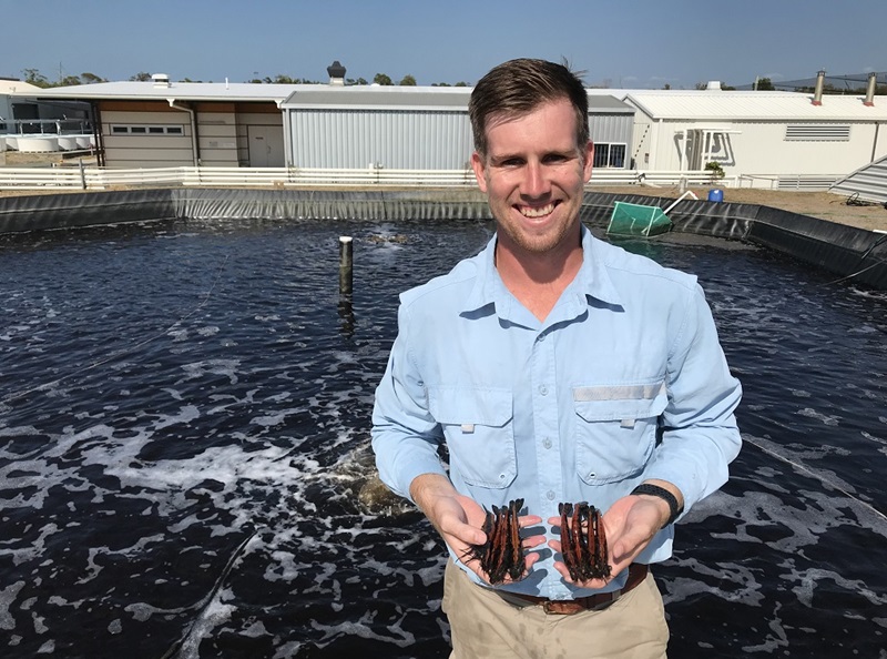 Tim standing in front of a big prawn enclosure holding prawns in his hands. 