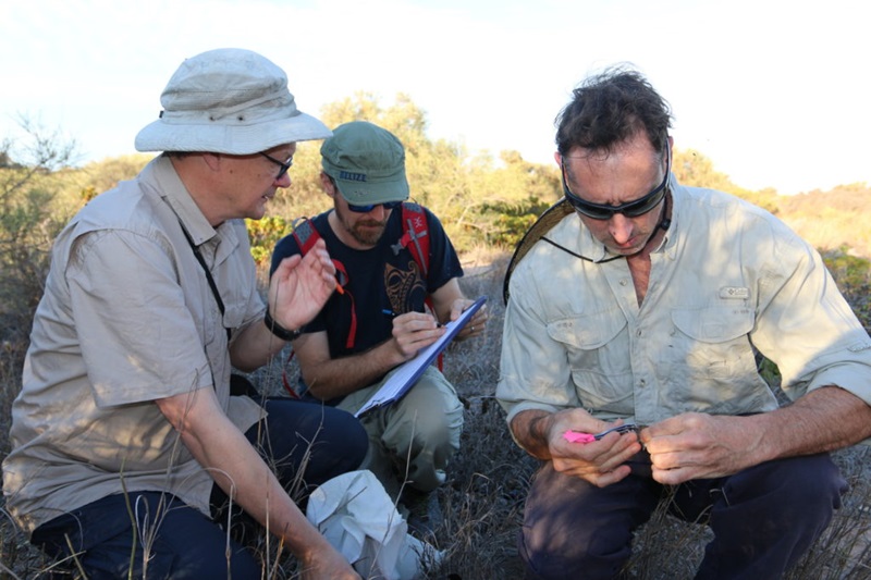 three men crouching in bushland with one man taking notes