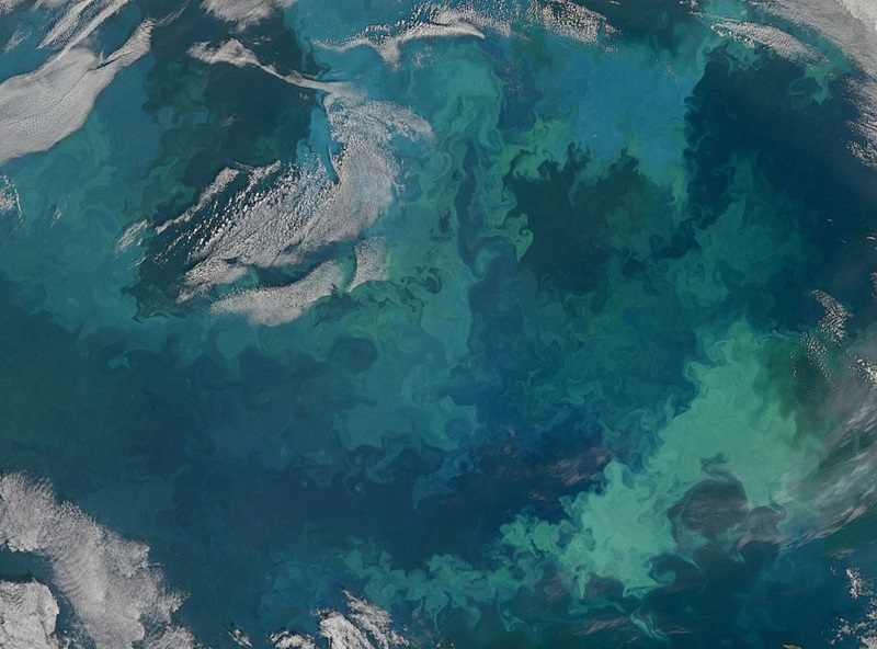 A satellite image of the sea - a hue of green and blues.