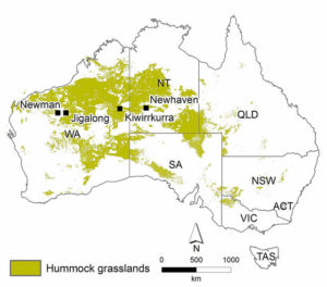 map of Australia showing grasslands