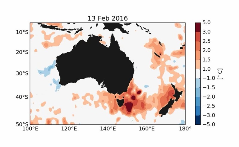 A graph of Australia, with red (1 degrees Celcius or warmer) colouring pictured off the coast of Tasmania, with greater intensity (warming) on the East Coast.