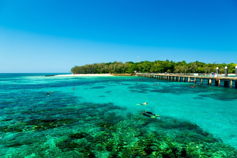 People snorkelling on reef in front of island