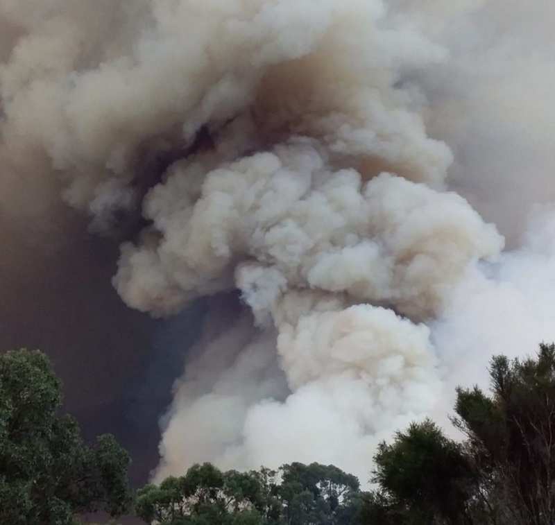 A large plume of smoke from a bushfire