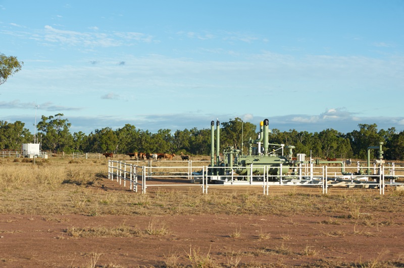 Gas well equipment in a farm setting with cattle in the background