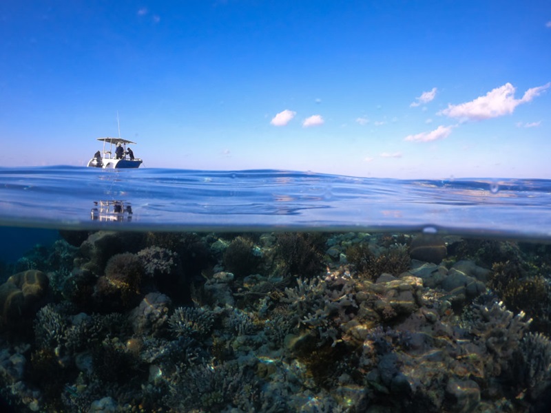 Split underwater / above water shot of reef and a boat