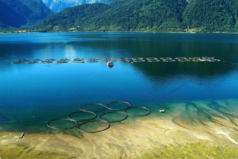view of bay with acqualture farming pens