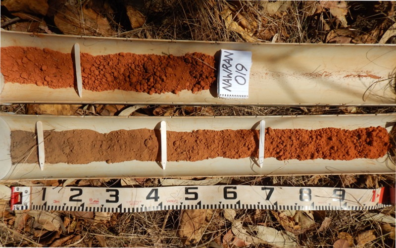 soil samples
