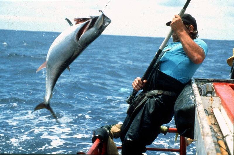 Fishermam pulling a fish out of the water on the end of a fishing line