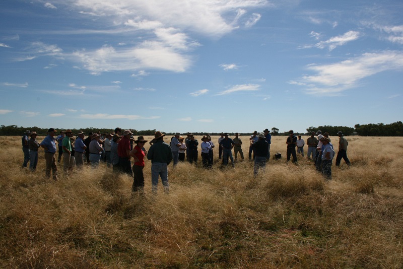 A group of people standing in a grassy paddock with hats on