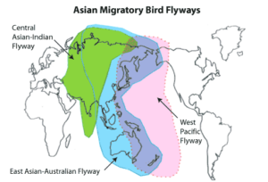 Map of the world with three coloured sections extending from north to south from top of Asia to bottom of Australasia