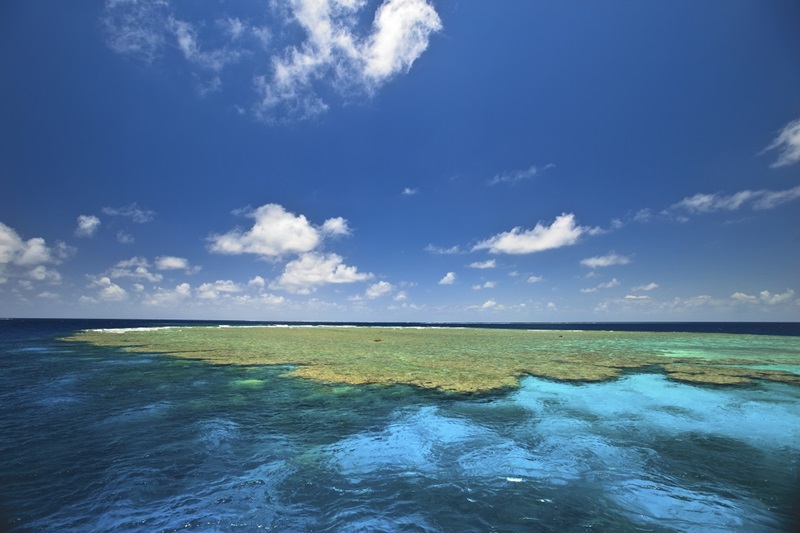 Aerial view of clam beds at the Great Barrier Reef