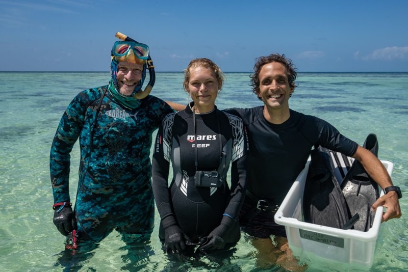 Researchers at Heron Island
