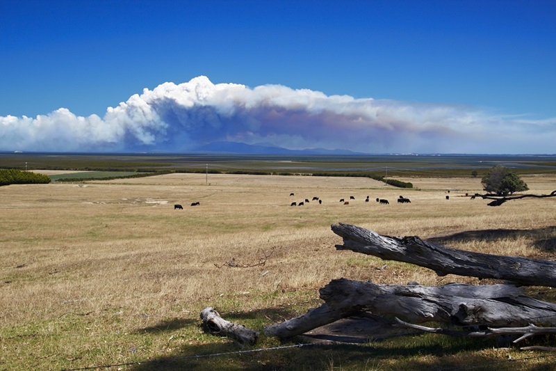 A bushfire burns in the distance in Victoria.