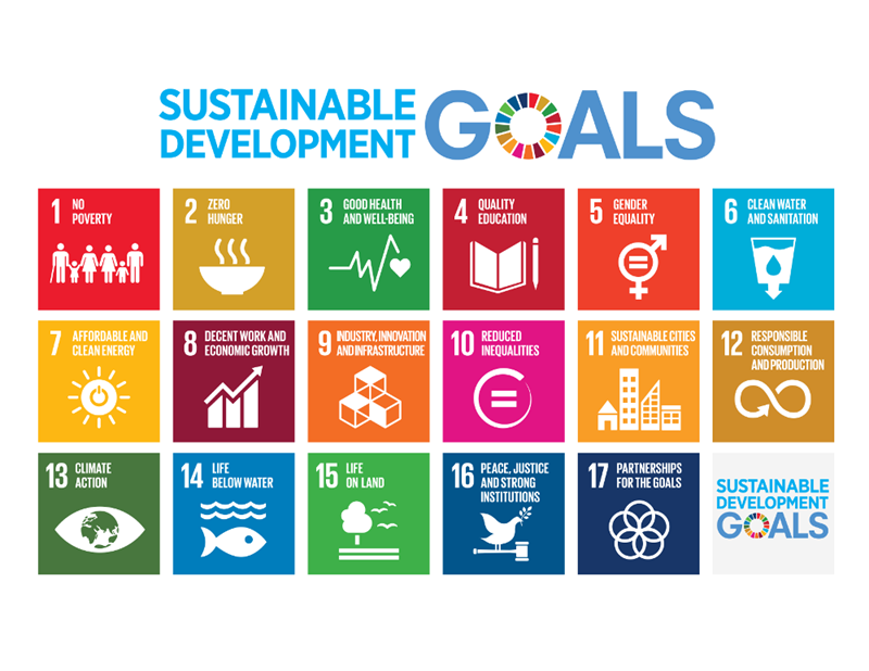 table of 17 individual icons showing sustainable development goals