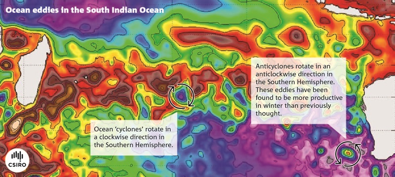 A brightly coloured map showing ocean eddies in the Southern Ocean