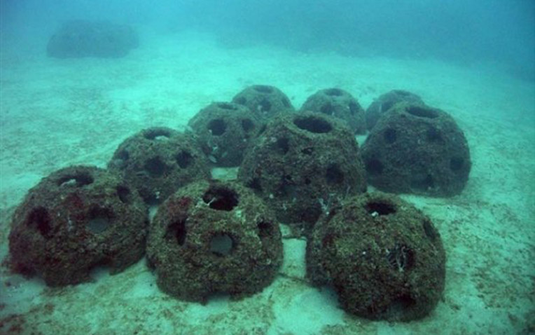 HOOK, LINE AND SINKER: Your ashes could form a marine playground.