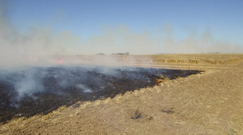 Fire on farmland