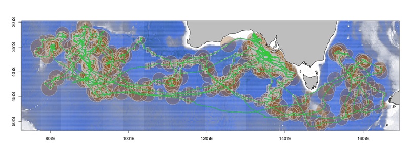 map showing feeding patterns of tagged tuna