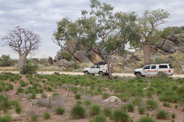 Two four-wheel drive vehicles parked by a roadside under trees