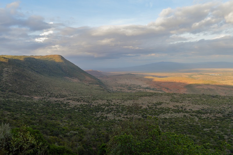 african landscape