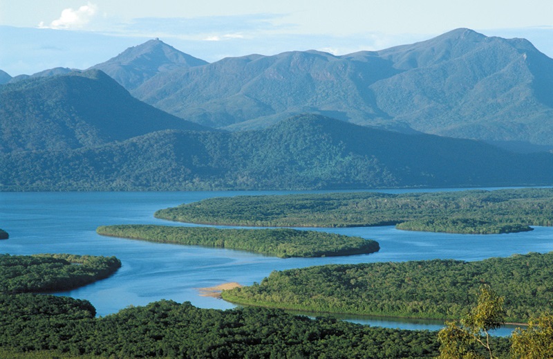 long shot of mangroves and sea channel with green mountains in the background