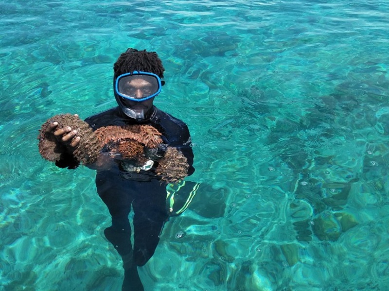 A diver wearing goggles holding a Prickly redfish. 