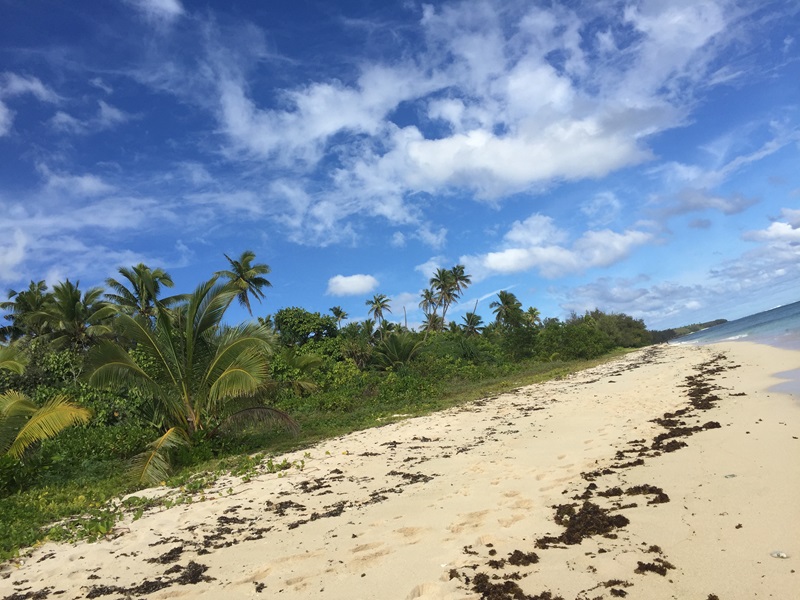 tropical island beach