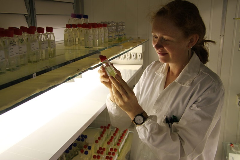 woman in lab coat standing next to shelves with rows of small containers, holding a small container