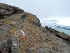 Rock with ice and sea in background