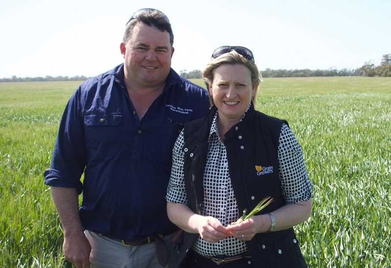 Tim and Julia Hausler. Image: Andrew Cooke/GRDC