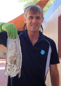 Man holding up a jelly fish