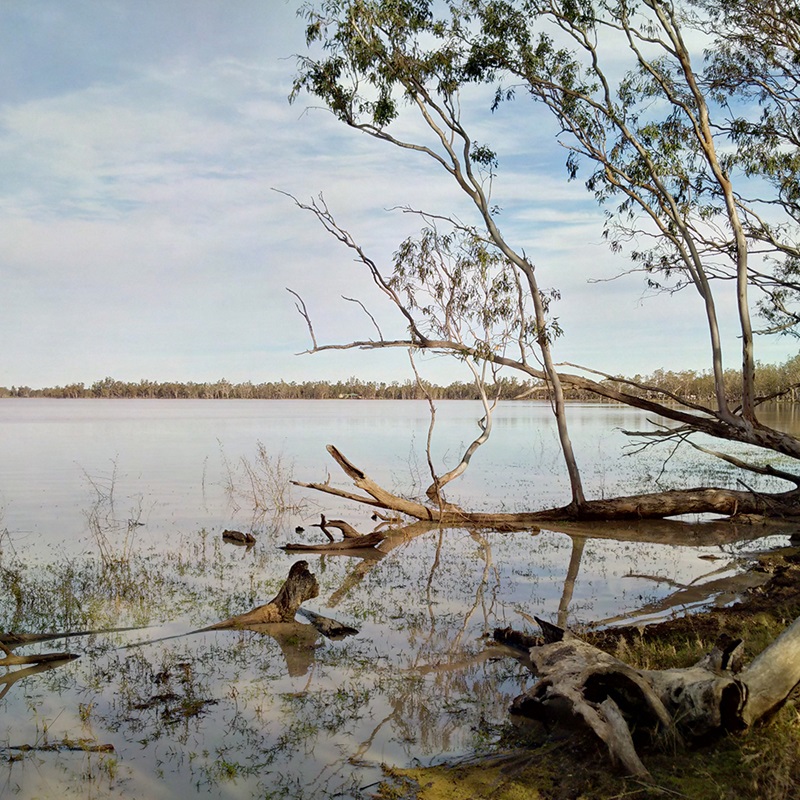 A lake with trees around its edge