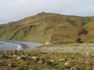 Green cliffs and beach