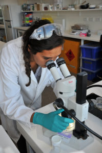 Woman with microscope