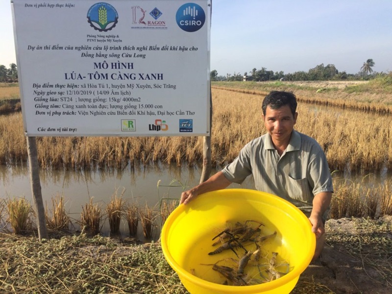 Mr Tran holding a bucket of shrimp in front of his rice-shrimp field in Soc Trang province. The photo was taken by Mr Tang Thanh Chi from the Office of Agriculture and Rural Development, My Xuyen district, Soc Trang province.