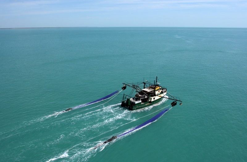 aerial view of prawn trawler out at sea