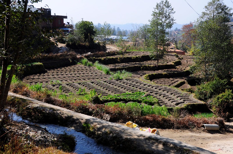 terraced rice paddies on the fringe of urban areas in Nepal that rely on a secure water supply.