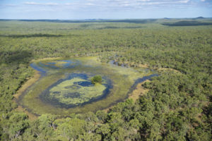 Aerial view of a wetland and surrounding forests