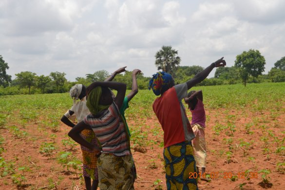 people in Africa in a field