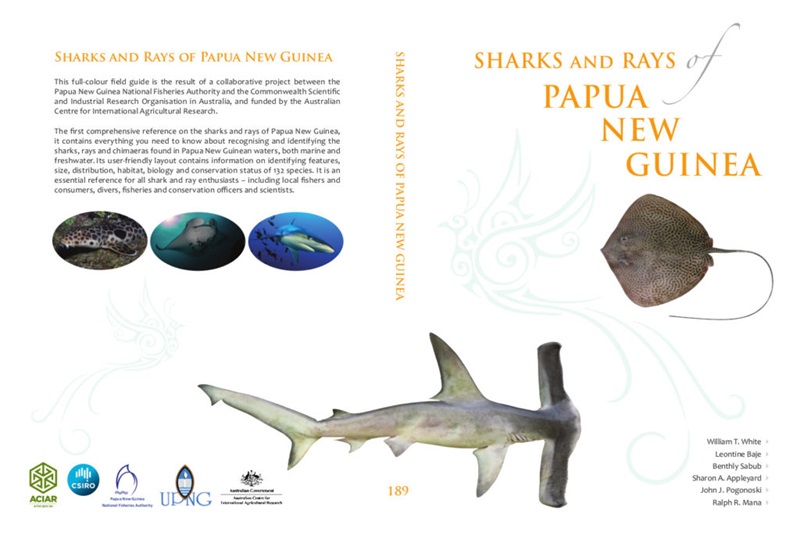 PNG sharks and ray sbook cover