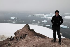 Person standing near penguins